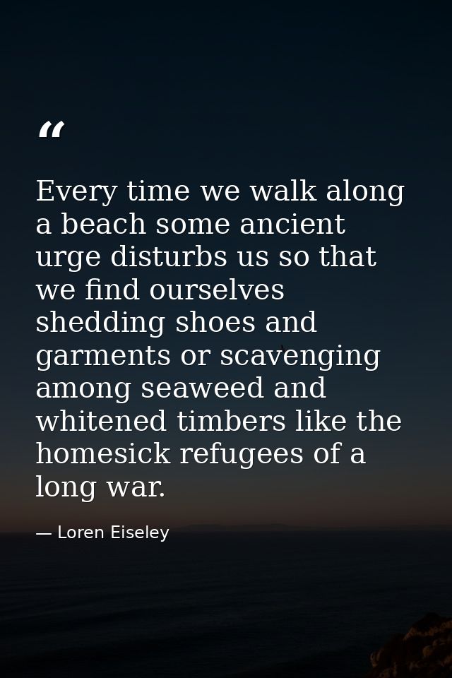 Every time we walk along a beach some ancient urge disturbs us so that we find ourselves shedding shoes and garments or  — Loren Eiseley