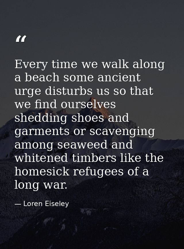 Every time we walk along a beach some ancient urge disturbs us so that we find ourselves shedding shoes and garments or  — Loren Eiseley