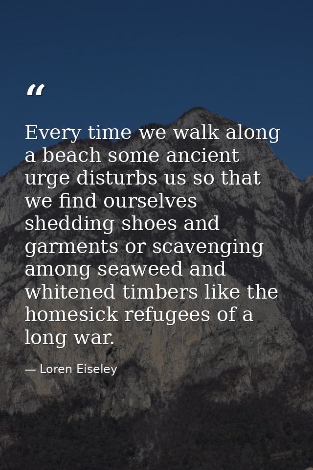 Every time we walk along a beach some ancient urge disturbs us so that we find ourselves shedding shoes and garments or  — Loren Eiseley