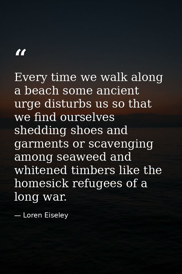 Every time we walk along a beach some ancient urge disturbs us so that we find ourselves shedding shoes and garments or  — Loren Eiseley
