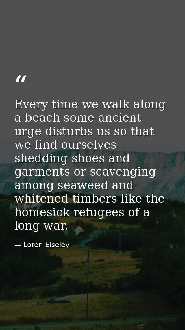 Every time we walk along a beach some ancient urge disturbs us so that we find ourselves shedding shoes and garments or  — Loren Eiseley