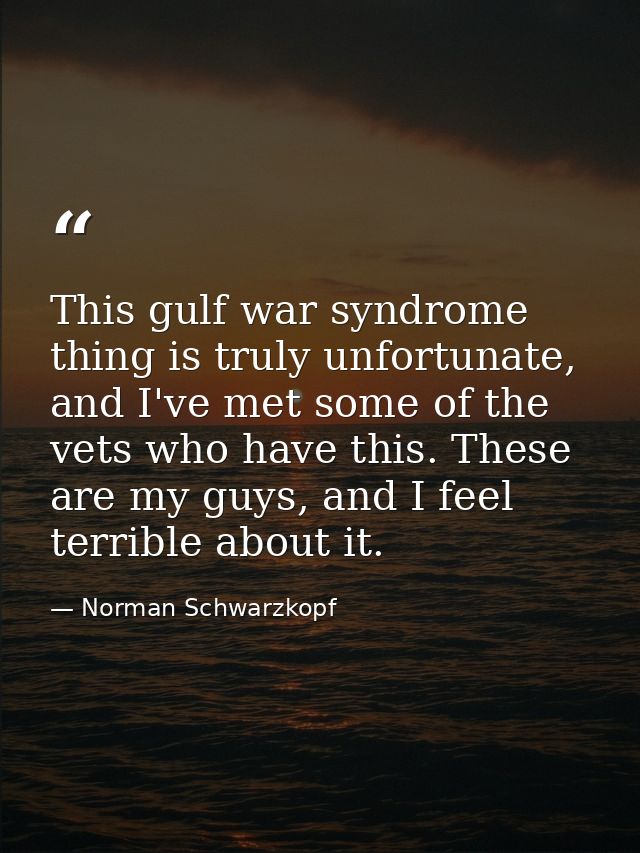 This gulf war syndrome thing is truly unfortunate, and I've met some of the vets who have this. These are my guys, and I — Norman Schwarzkopf