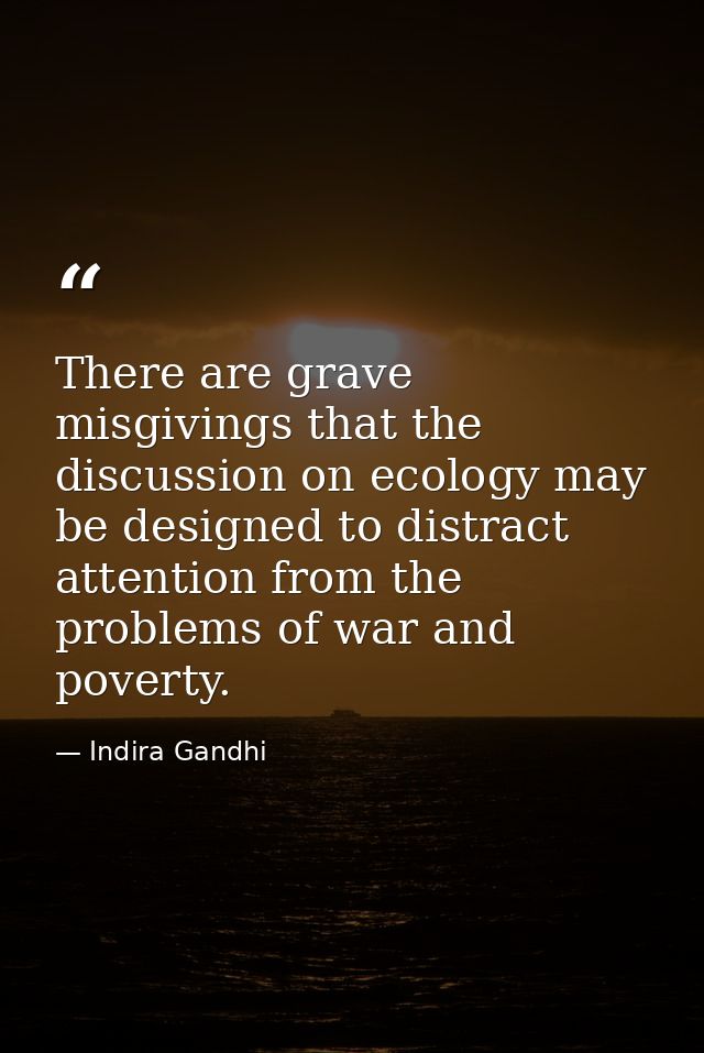 There are grave misgivings that the discussion on ecology may be designed to distract attention from the problems of war — Indira Gandhi