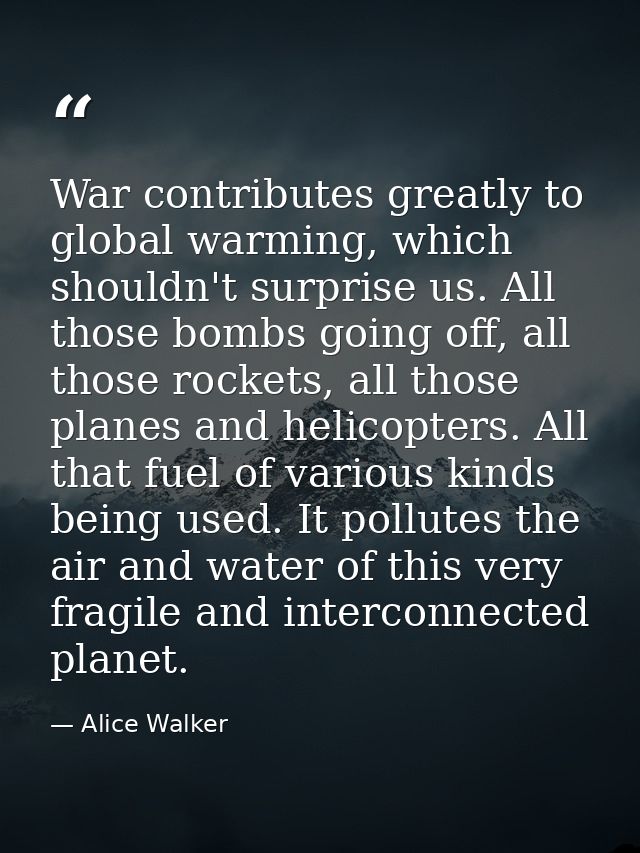 War contributes greatly to global warming, which shouldn't surprise us. All those bombs going off, all those rockets, al — Alice Walker