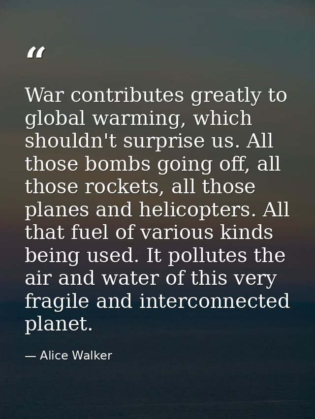 War contributes greatly to global warming, which shouldn't surprise us. All those bombs going off, all those rockets, al — Alice Walker