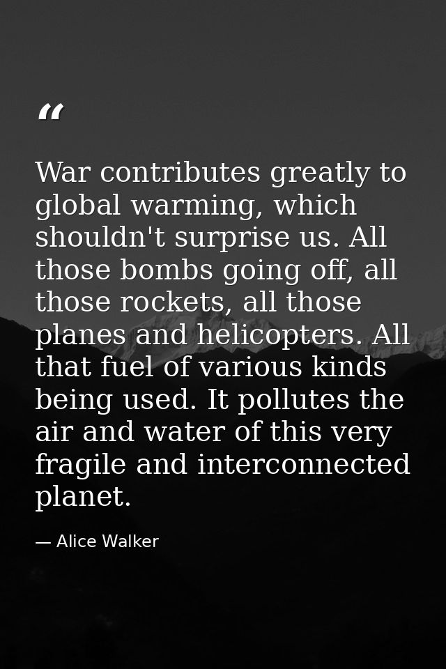 War contributes greatly to global warming, which shouldn't surprise us. All those bombs going off, all those rockets, al — Alice Walker