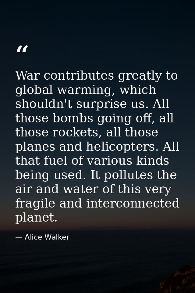 War contributes greatly to global warming, which shouldn't surprise us. All those bombs going off, all those rockets, al — Alice Walker