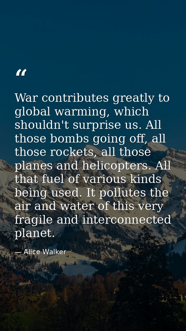 War contributes greatly to global warming, which shouldn't surprise us. All those bombs going off, all those rockets, al — Alice Walker
