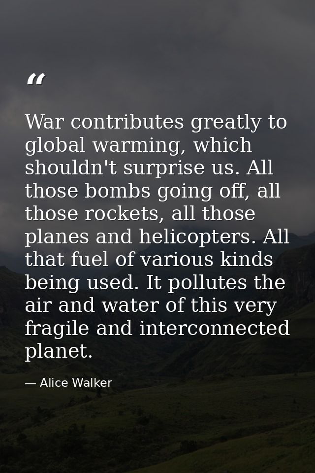 War contributes greatly to global warming, which shouldn't surprise us. All those bombs going off, all those rockets, al — Alice Walker