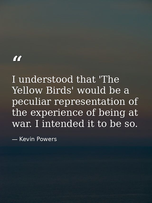 I understood that 'The Yellow Birds' would be a peculiar representation of the experience of being at war. I intended it — Kevin Powers
