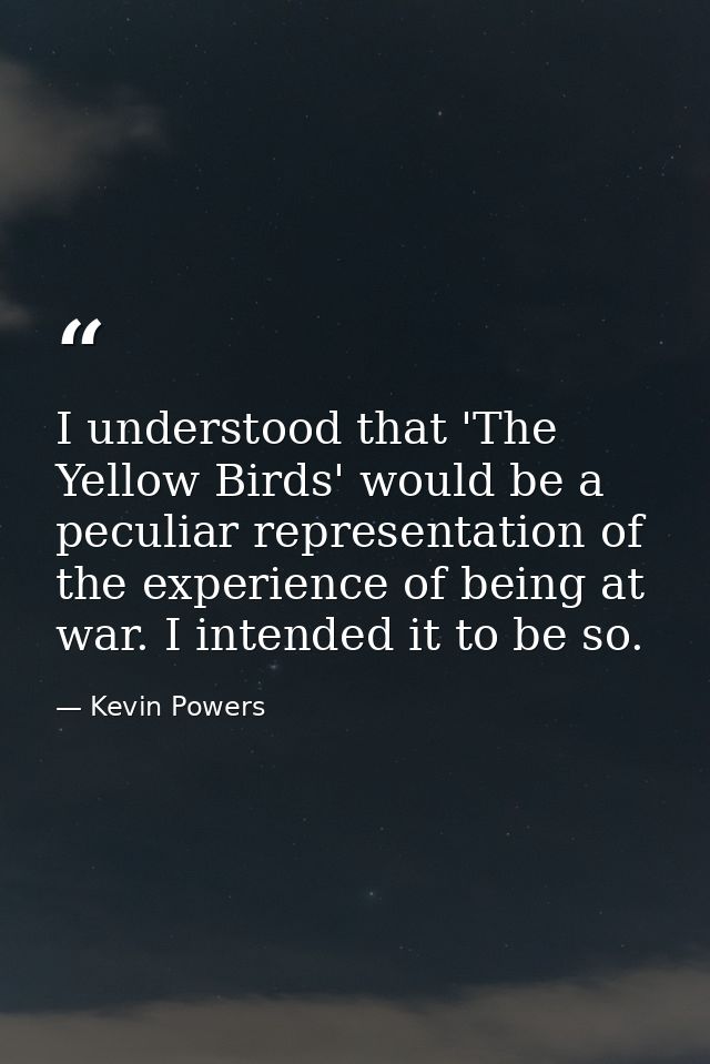I understood that 'The Yellow Birds' would be a peculiar representation of the experience of being at war. I intended it — Kevin Powers