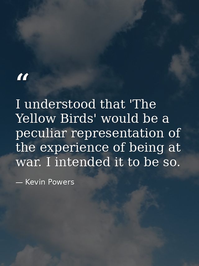 I understood that 'The Yellow Birds' would be a peculiar representation of the experience of being at war. I intended it — Kevin Powers