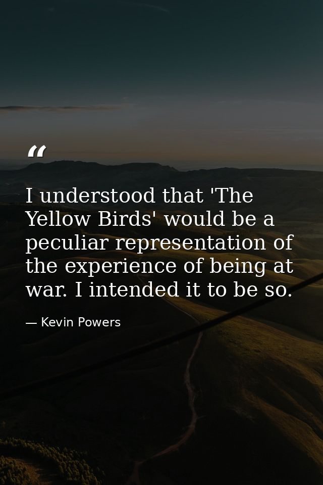 I understood that 'The Yellow Birds' would be a peculiar representation of the experience of being at war. I intended it — Kevin Powers