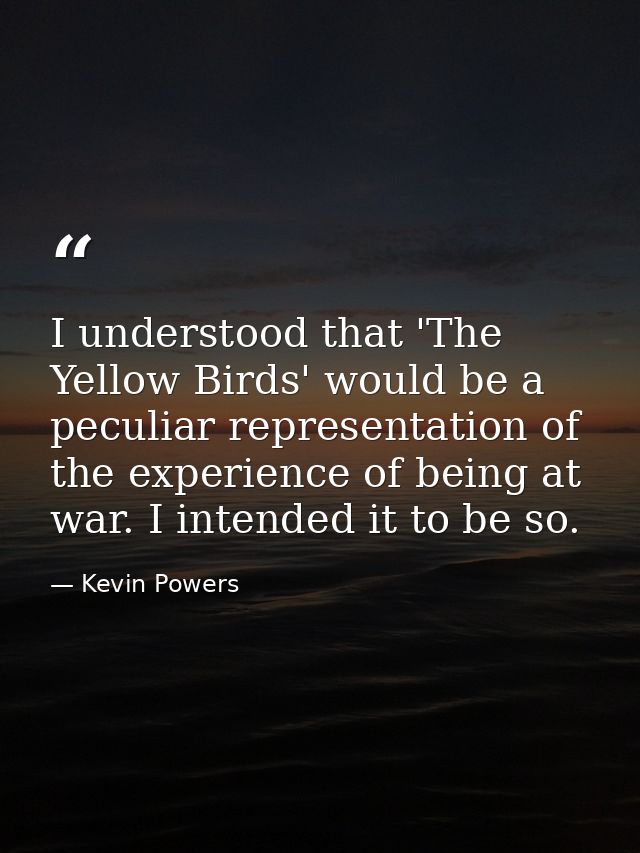 I understood that 'The Yellow Birds' would be a peculiar representation of the experience of being at war. I intended it — Kevin Powers