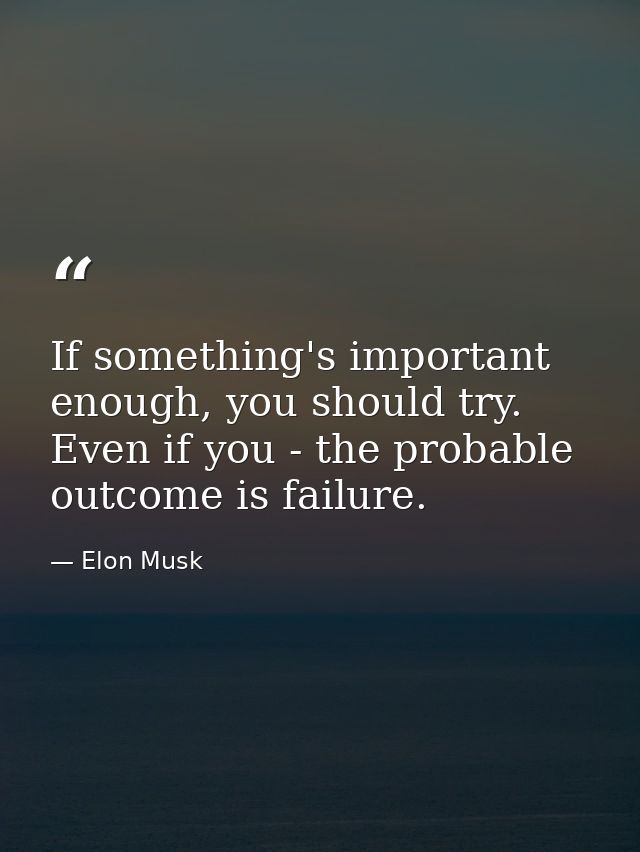 If something's important enough, you should try. Even if you - the probable outcome is failure. — Elon Musk
