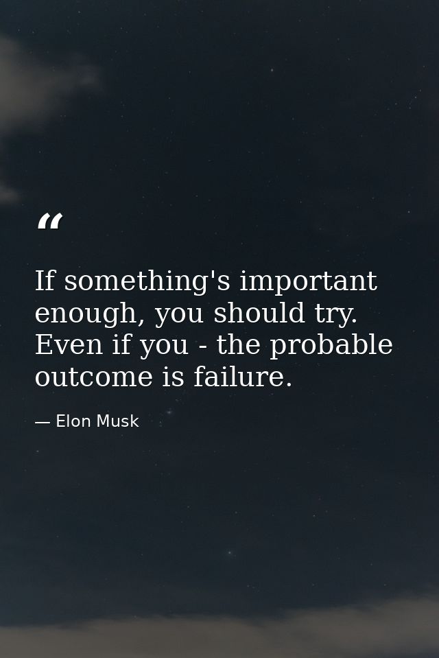 If something's important enough, you should try. Even if you - the probable outcome is failure. — Elon Musk