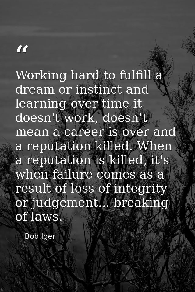 Working hard to fulfill a dream or instinct and learning over time it doesn't work, doesn't mean a career is over and a  — Bob Iger