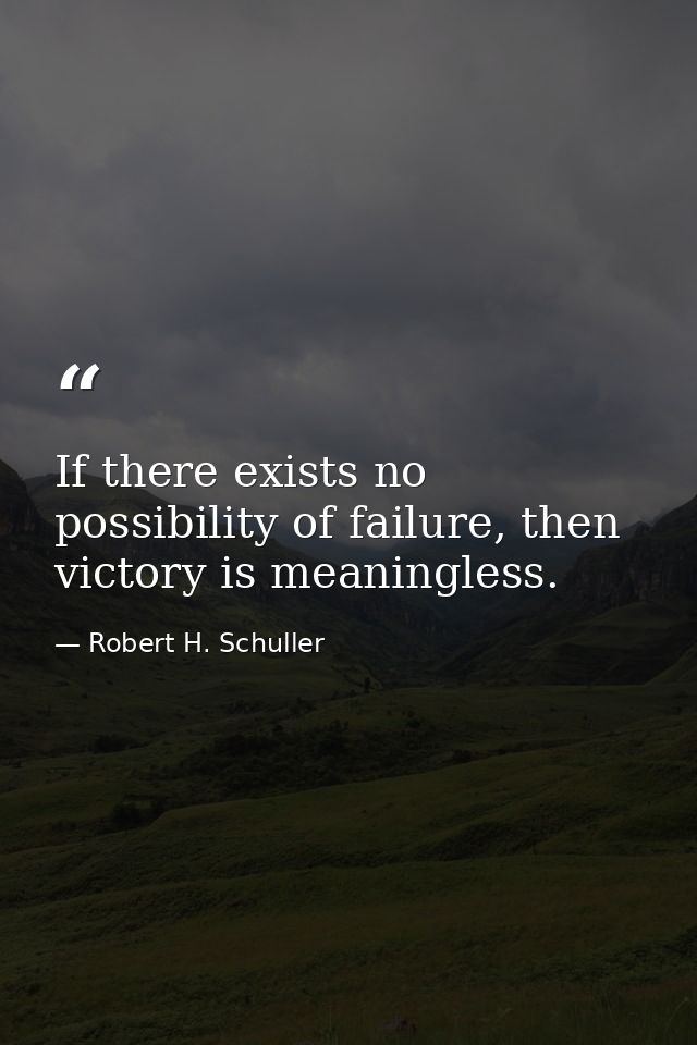 If there exists no possibility of failure, then victory is meaningless. — Robert H. Schuller