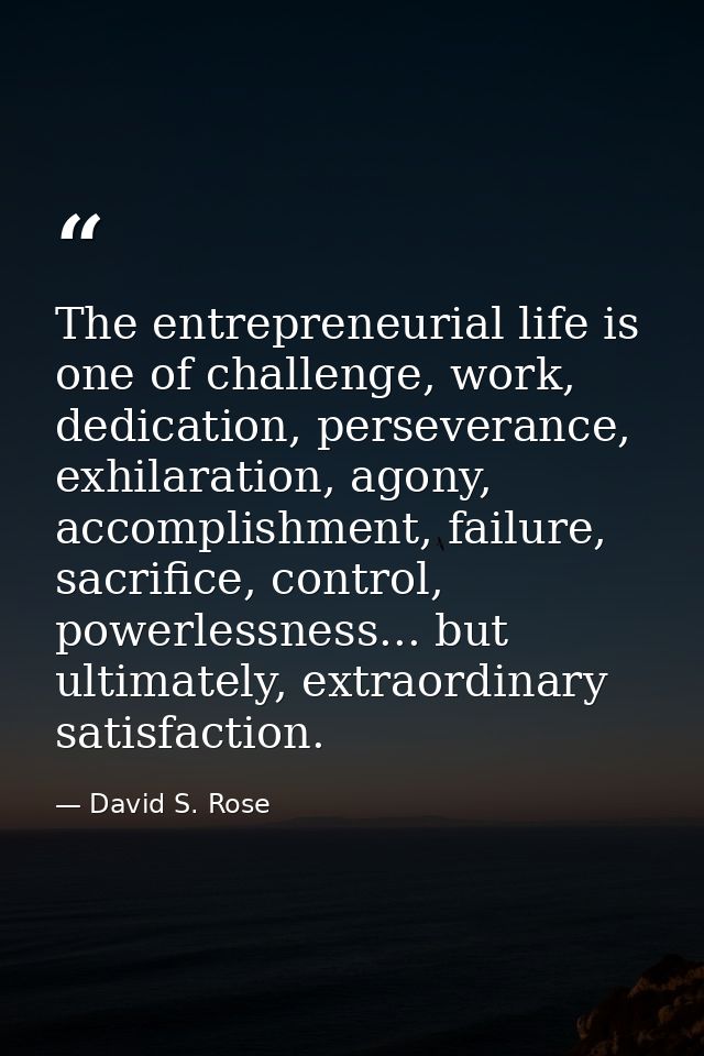The entrepreneurial life is one of challenge, work, dedication, perseverance, exhilaration, agony, accomplishment, failu — David S. Rose