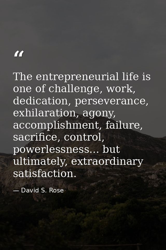 The entrepreneurial life is one of challenge, work, dedication, perseverance, exhilaration, agony, accomplishment, failu — David S. Rose