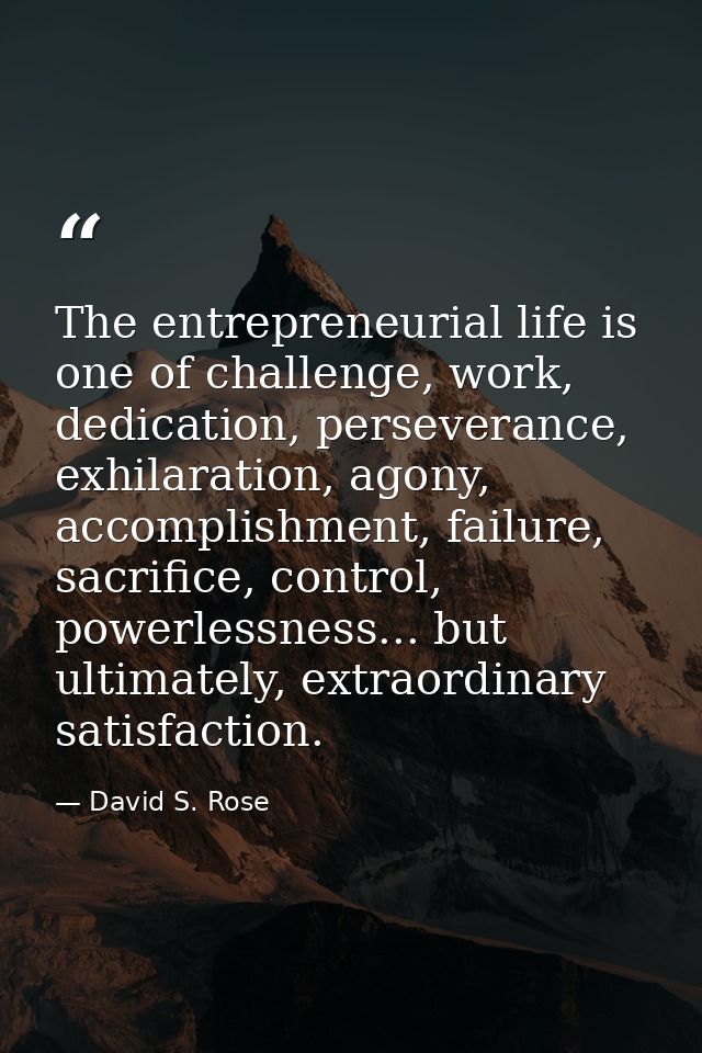 The entrepreneurial life is one of challenge, work, dedication, perseverance, exhilaration, agony, accomplishment, failu — David S. Rose