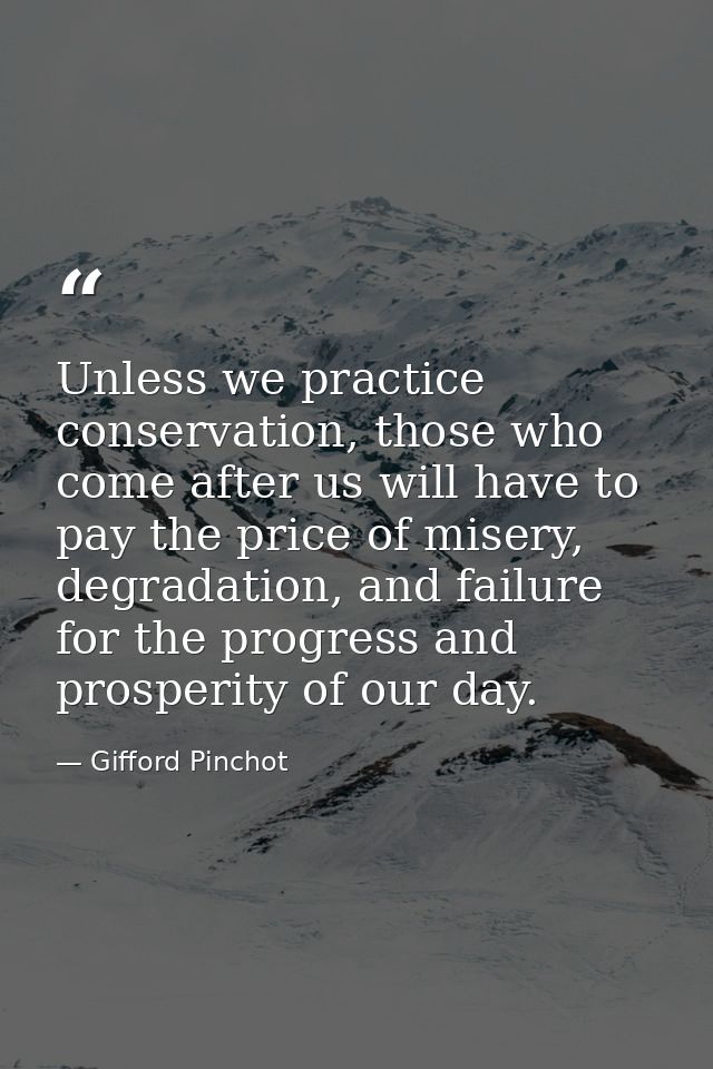 Unless we practice conservation, those who come after us will have to pay the price of misery, degradation, and failure  — Gifford Pinchot