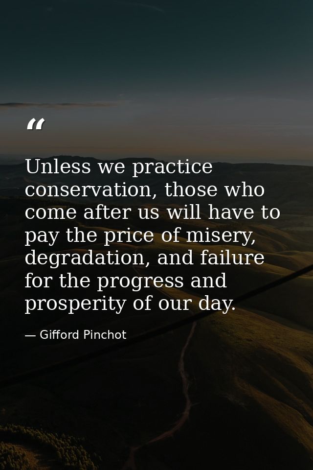Unless we practice conservation, those who come after us will have to pay the price of misery, degradation, and failure  — Gifford Pinchot