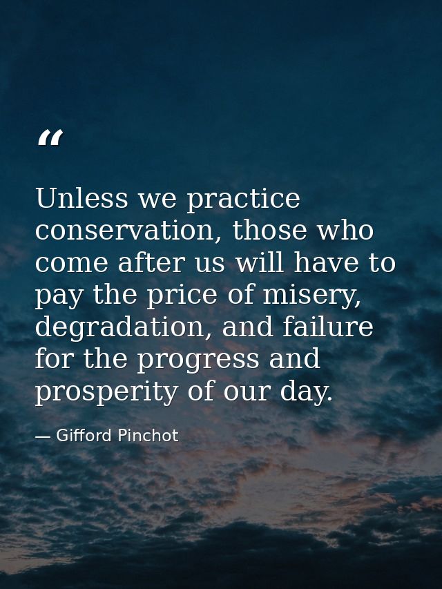 Unless we practice conservation, those who come after us will have to pay the price of misery, degradation, and failure  — Gifford Pinchot