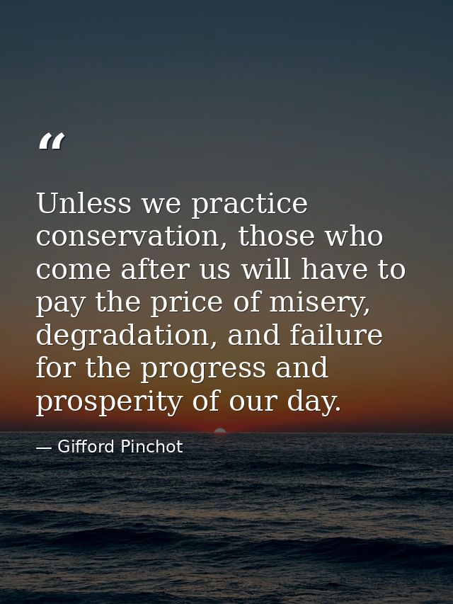 Unless we practice conservation, those who come after us will have to pay the price of misery, degradation, and failure  — Gifford Pinchot