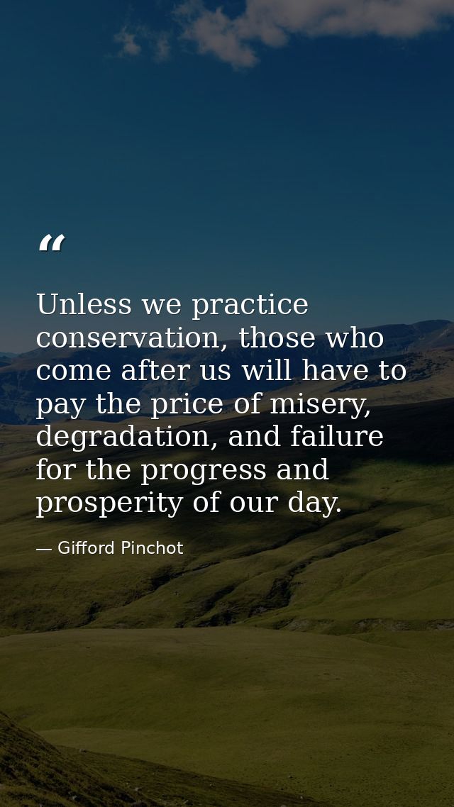 Unless we practice conservation, those who come after us will have to pay the price of misery, degradation, and failure  — Gifford Pinchot