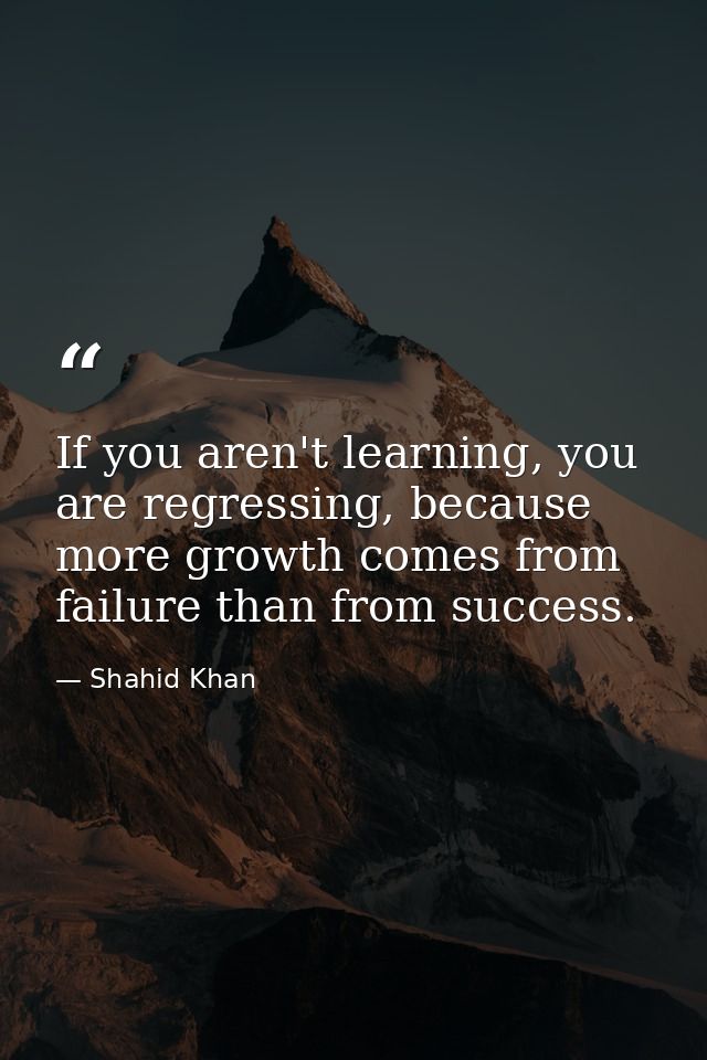 If you aren't learning, you are regressing, because more growth comes from failure than from success. — Shahid Khan