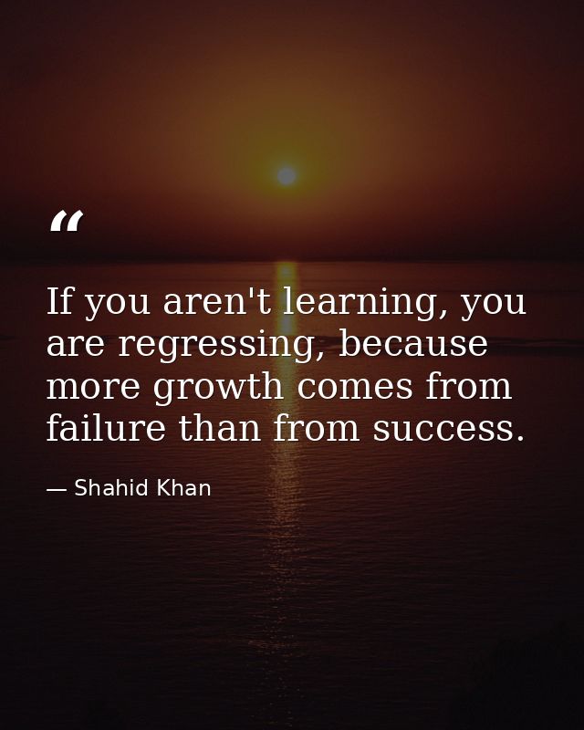 If you aren't learning, you are regressing, because more growth comes from failure than from success. — Shahid Khan