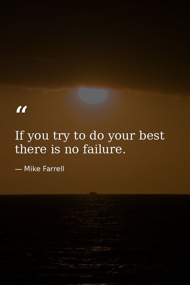 If you try to do your best there is no failure. — Mike Farrell