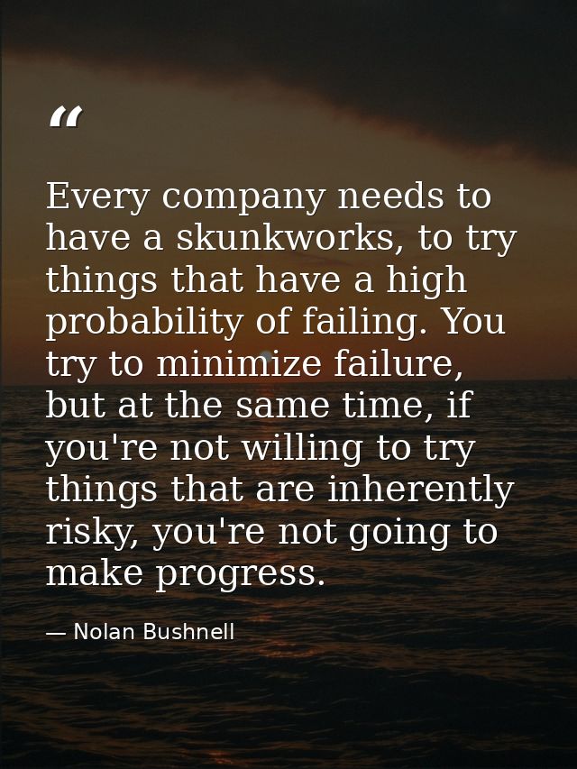 Every company needs to have a skunkworks, to try things that have a high probability of failing. You try to minimize fai — Nolan Bushnell