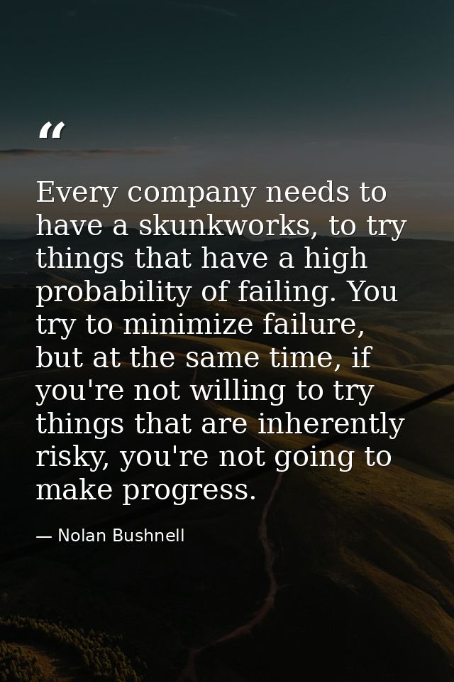 Every company needs to have a skunkworks, to try things that have a high probability of failing. You try to minimize fai — Nolan Bushnell