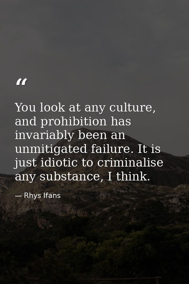You look at any culture, and prohibition has invariably been an unmitigated failure. It is just idiotic to criminalise a — Rhys Ifans
