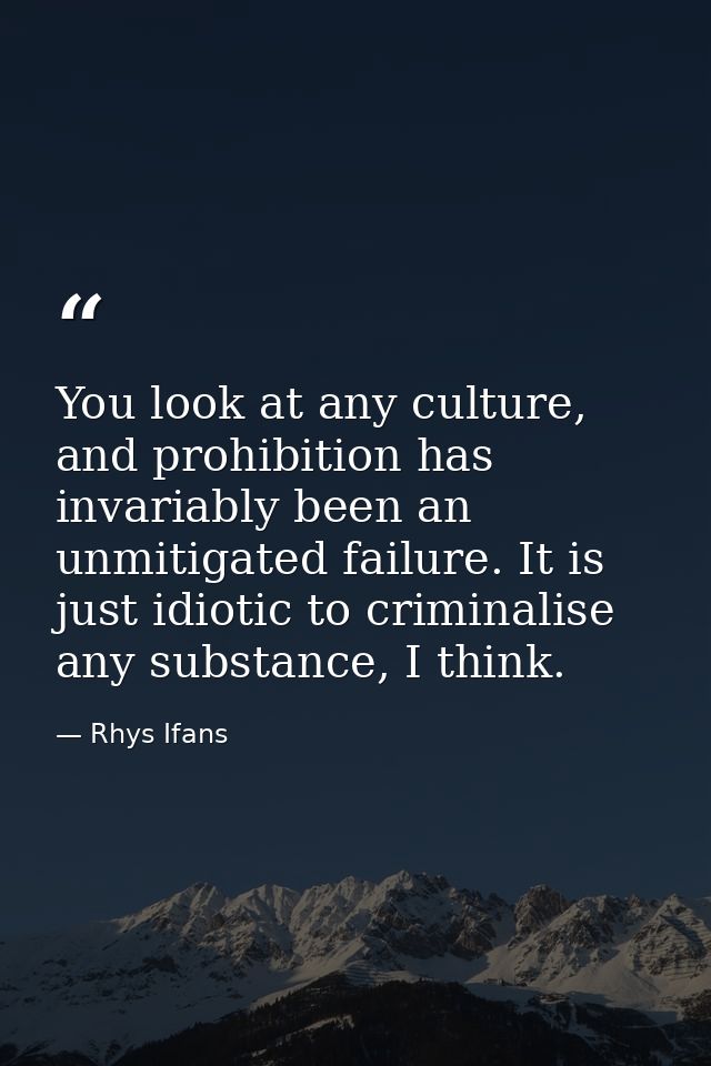 You look at any culture, and prohibition has invariably been an unmitigated failure. It is just idiotic to criminalise a — Rhys Ifans