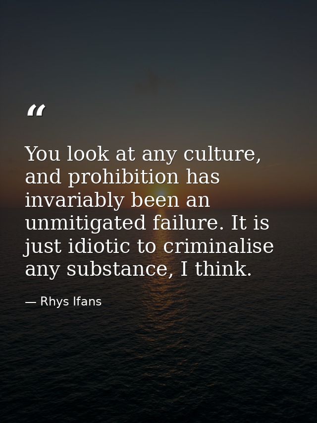 You look at any culture, and prohibition has invariably been an unmitigated failure. It is just idiotic to criminalise a — Rhys Ifans