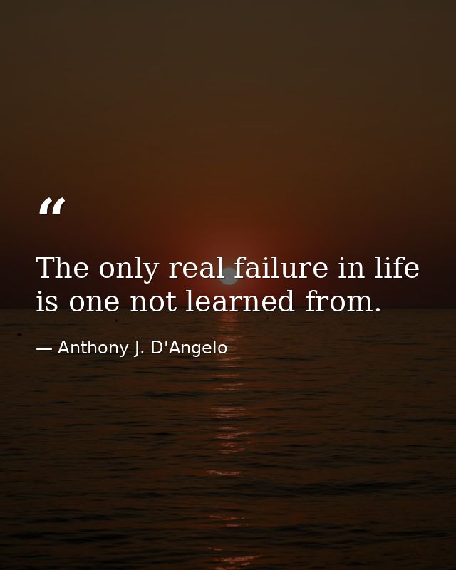 The only real failure in life is one not learned from. — Anthony J. D'Angelo