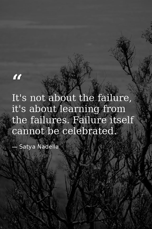 It's not about the failure, it's about learning from the failures. Failure itself cannot be celebrated. — Satya Nadella