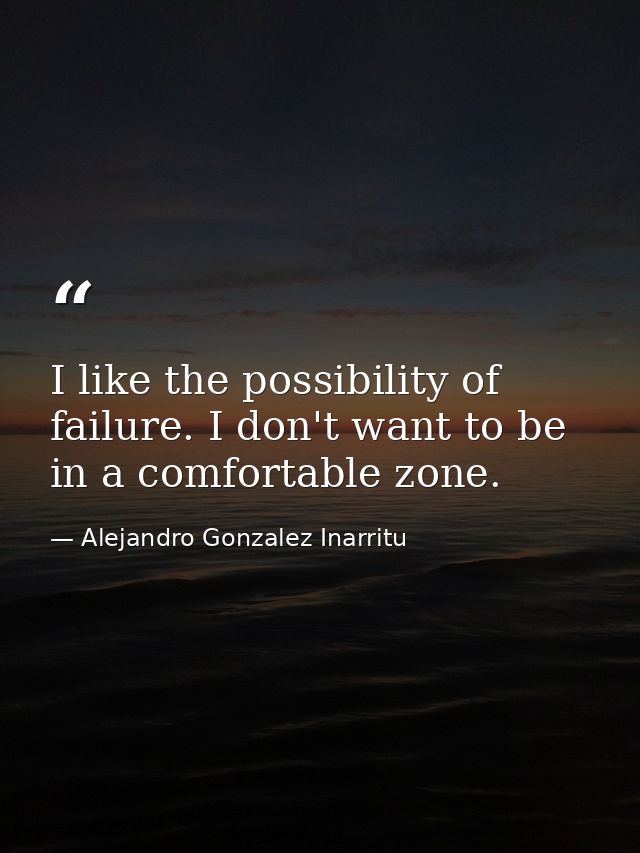 I like the possibility of failure. I don't want to be in a comfortable zone. — Alejandro Gonzalez Inarritu