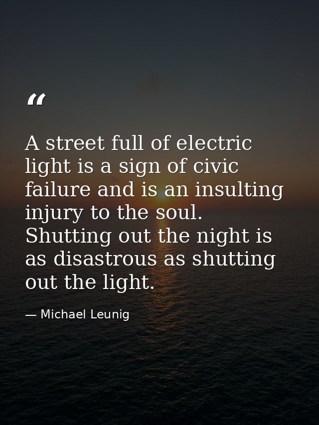 A street full of electric light is a sign of civic failure and is an insulting injury to the soul. Shutting out the nigh — Michael Leunig