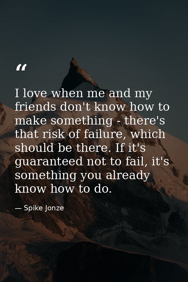 I love when me and my friends don't know how to make something - there's that risk of failure, which should be there. If — Spike Jonze