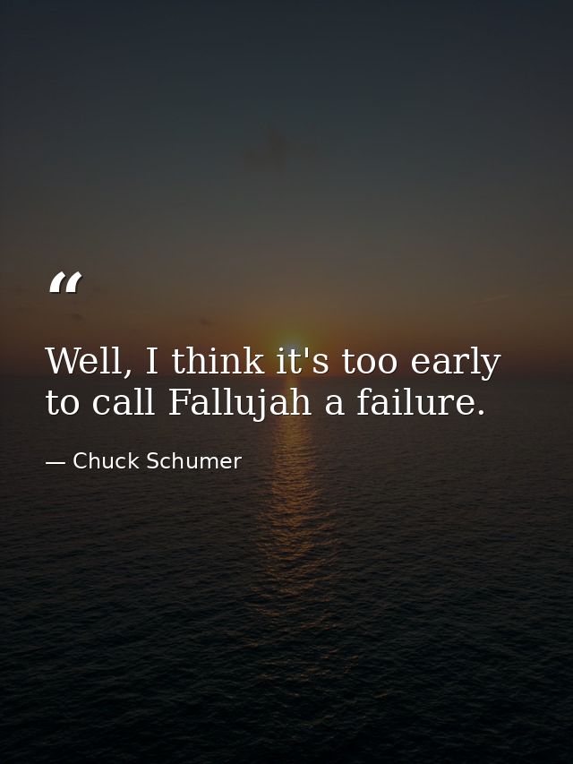Well, I think it's too early to call Fallujah a failure. — Chuck Schumer