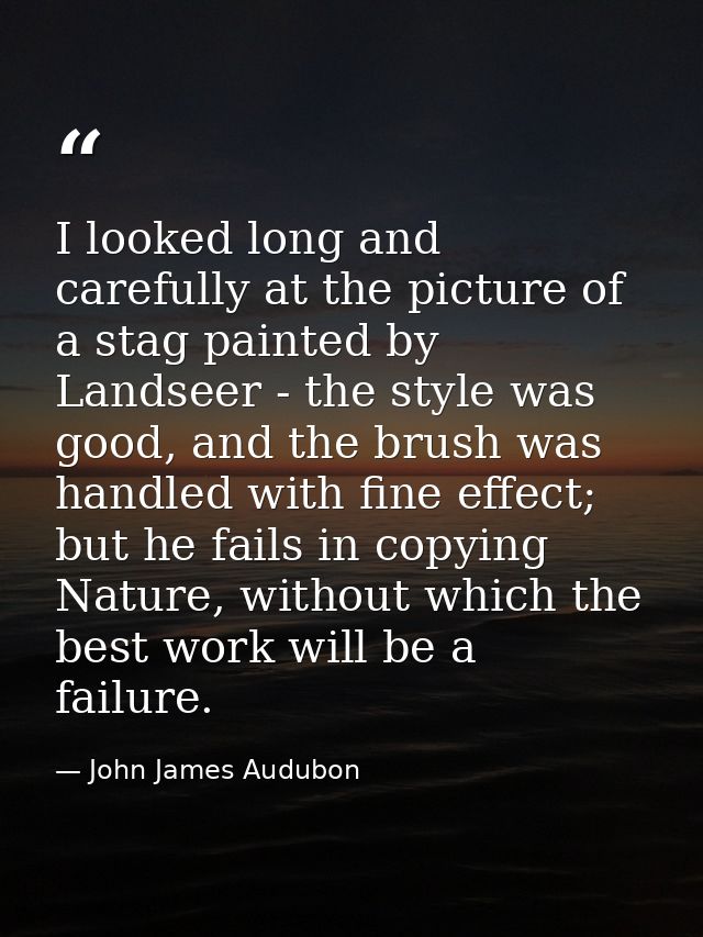 I looked long and carefully at the picture of a stag painted by Landseer - the style was good, and the brush was handled — John James Audubon