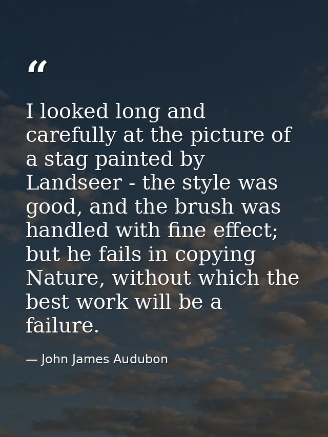 I looked long and carefully at the picture of a stag painted by Landseer - the style was good, and the brush was handled — John James Audubon
