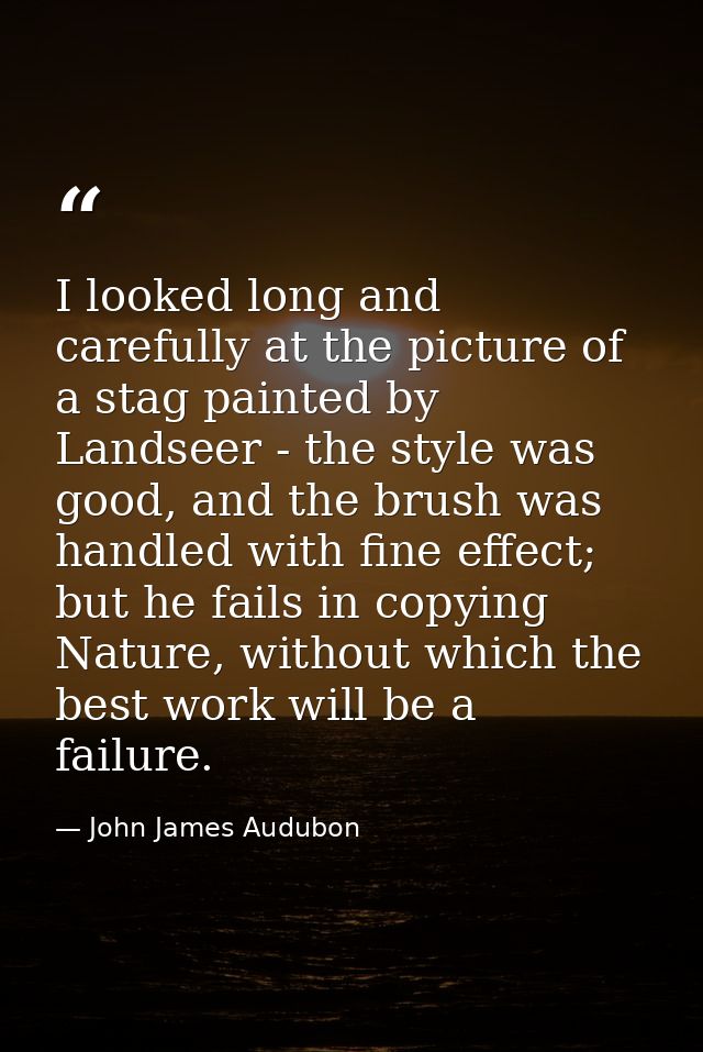 I looked long and carefully at the picture of a stag painted by Landseer - the style was good, and the brush was handled — John James Audubon