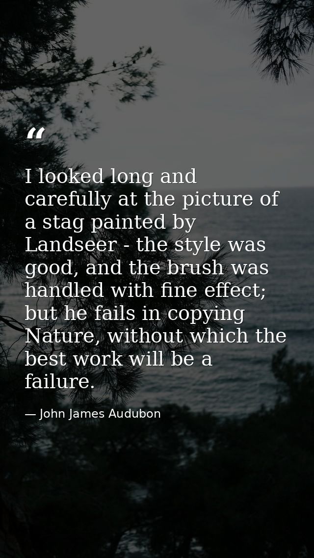 I looked long and carefully at the picture of a stag painted by Landseer - the style was good, and the brush was handled — John James Audubon