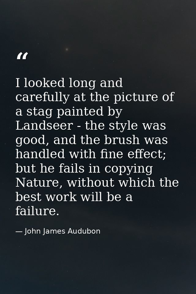 I looked long and carefully at the picture of a stag painted by Landseer - the style was good, and the brush was handled — John James Audubon
