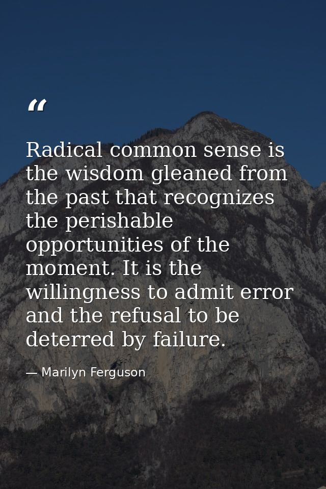 Radical common sense is the wisdom gleaned from the past that recognizes the perishable opportunities of the moment. It  — Marilyn Ferguson